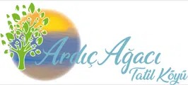 Ardıç Ağacı